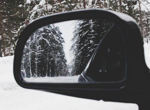 Free Photo of Vehicle Wing Mirror With Tree As Reflection Stock Photo