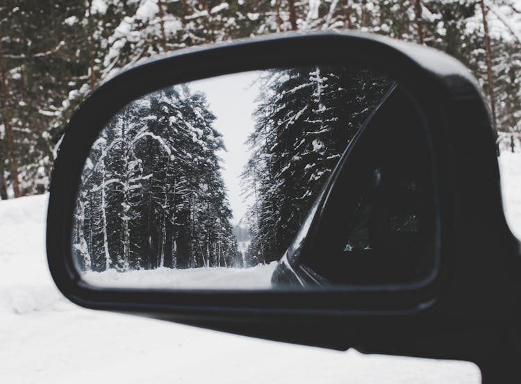 Photo Of Vehicle Wing Mirror With Tree As Reflection