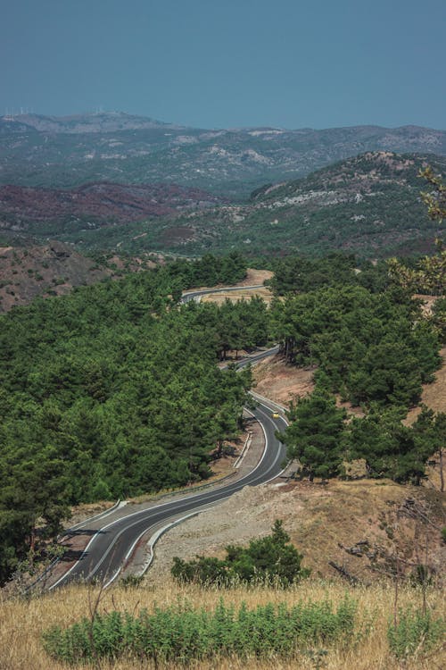 Foto profissional grátis de árvores verdes, campo, desocupado