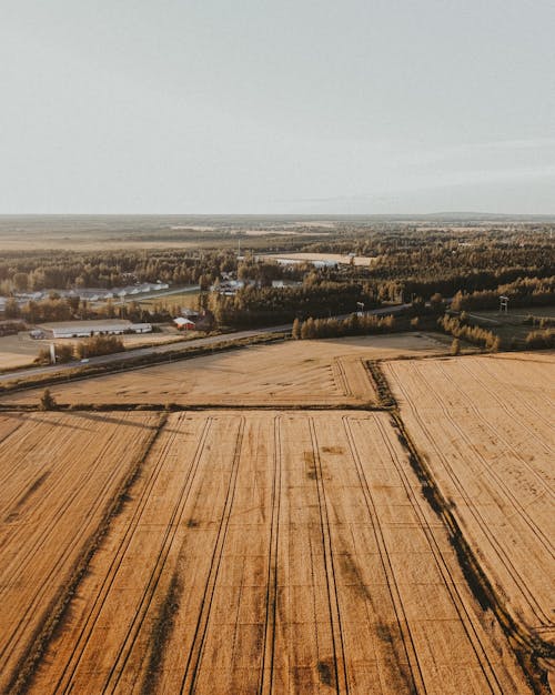 Aerial View of a Brown Field