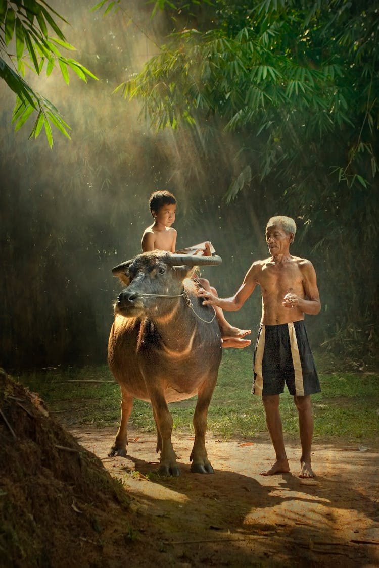 A Boy Riding A Carabao