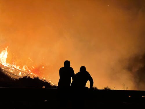 Základová fotografie zdarma na téma bushfire, kouř, lidé