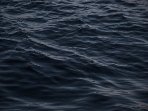 Fotobanka s bezplatnými fotkami na tému more, oceán, vlnky