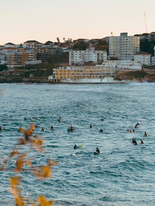 People Surfing on the Ocean 