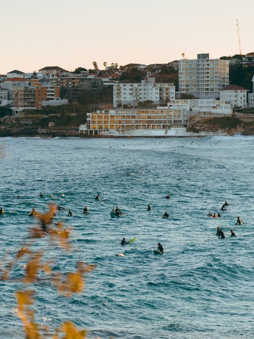 Free Surfers enjoying the waves at Bondi Beach, Sydney, on a sunny day in Australia. Stock Photo