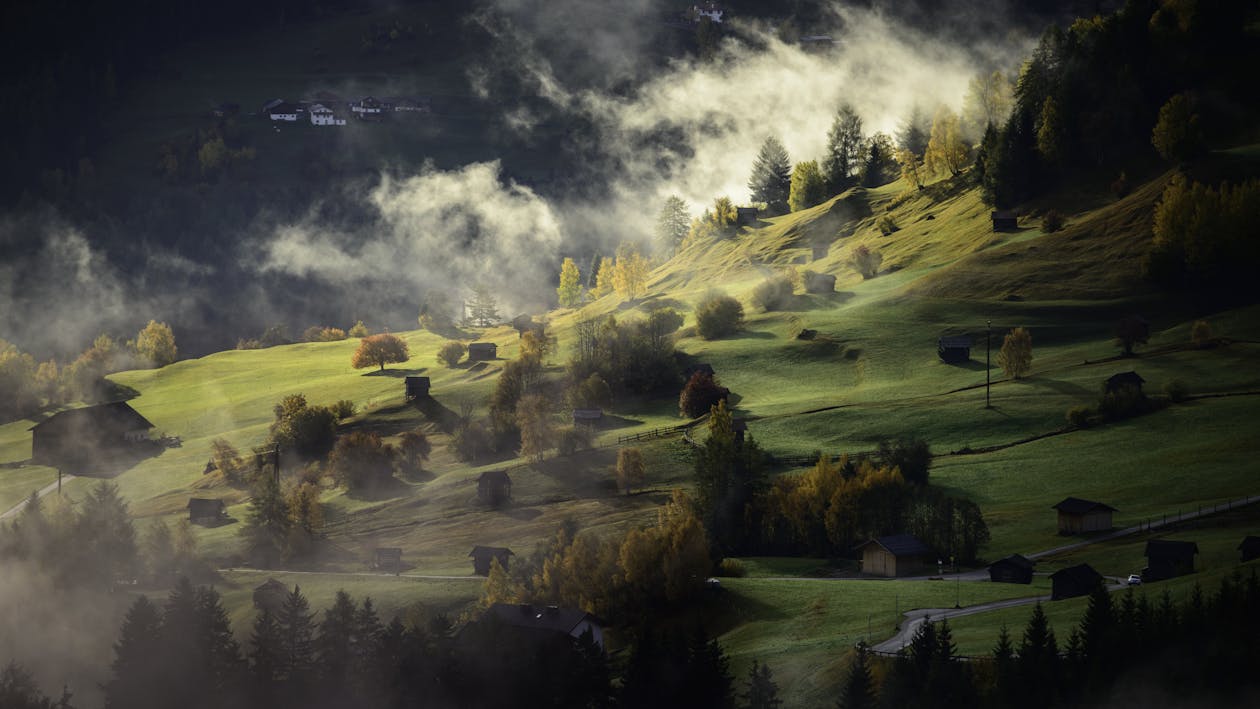 Gratuit Imagine de stoc gratuită din arbori, ceață, dealuri Fotografie de stoc