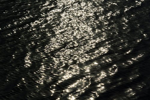 グレースケール写真, 反射, 水域の無料の写真素材