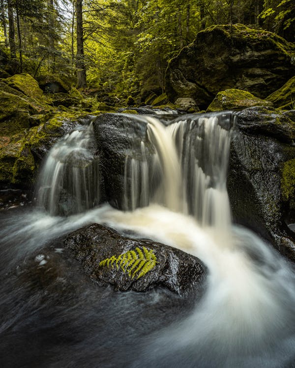 Photo of Cascade on Rainforest