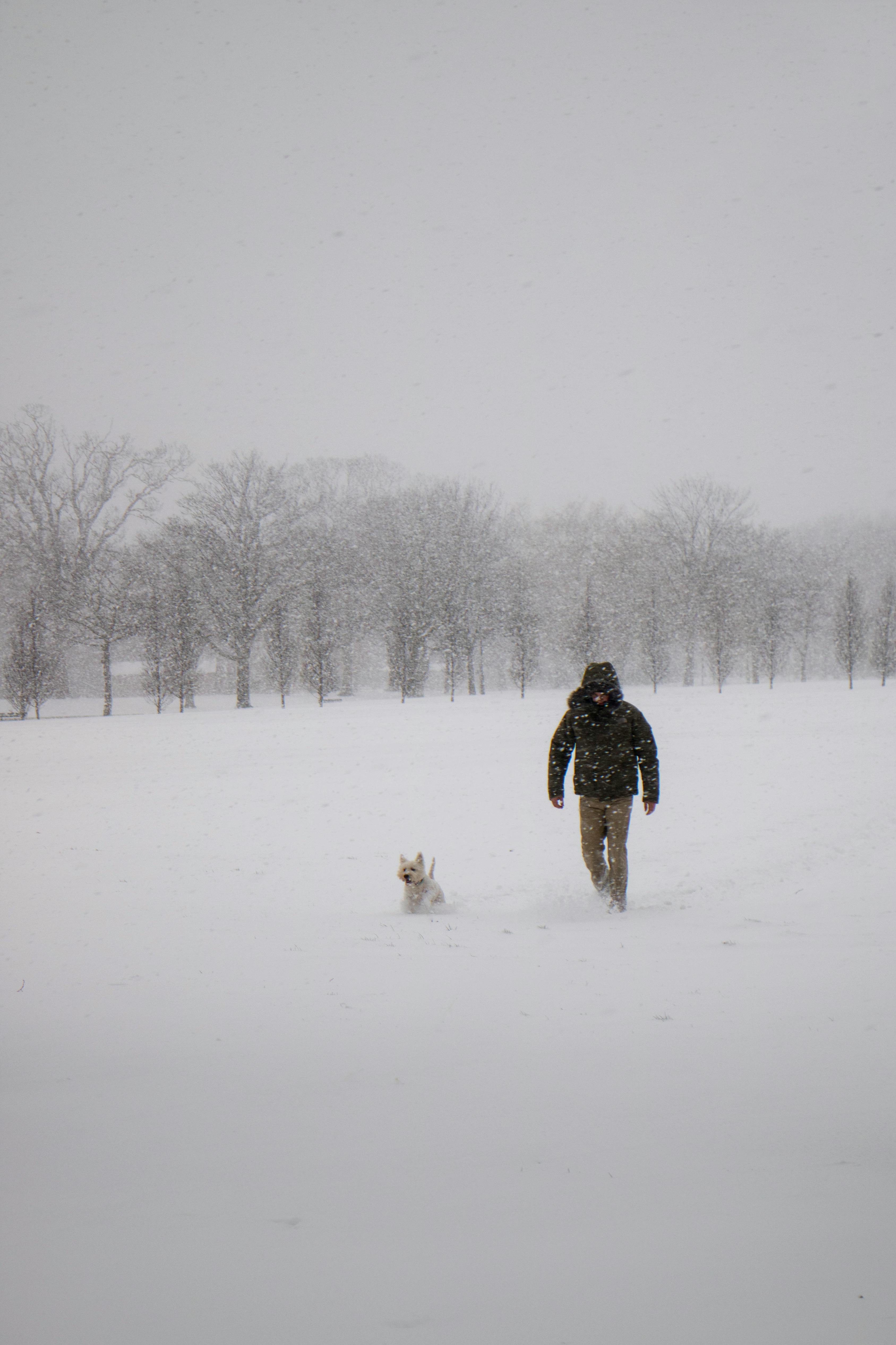 What to Wear When Dog Sledding