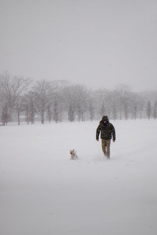 穿黑夾克和褲子在雪地上行走的人的照片