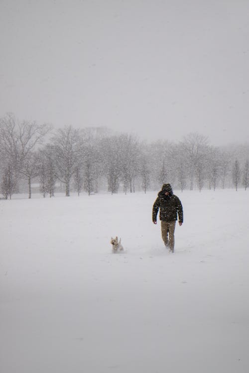 Person Wearing Black Jacket and Pants Walking on Snow Covered Land With A Dog