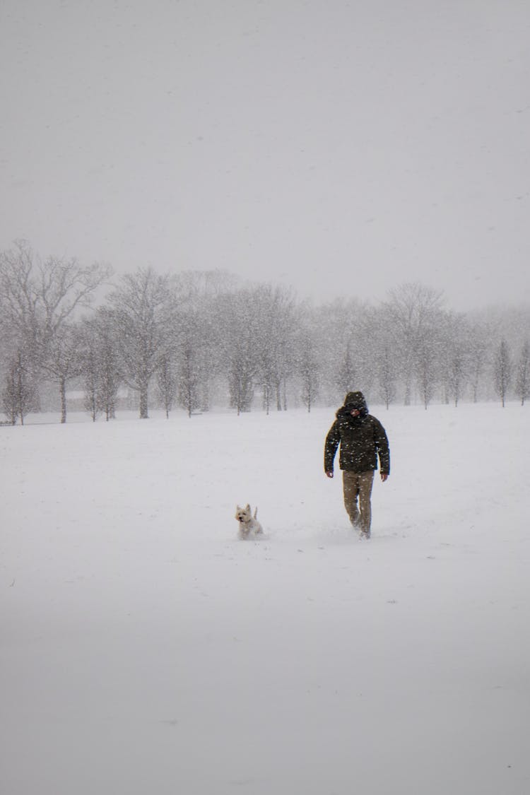 Person Wearing Black Jacket And Pants Walking On Snow Covered Land With A Dog