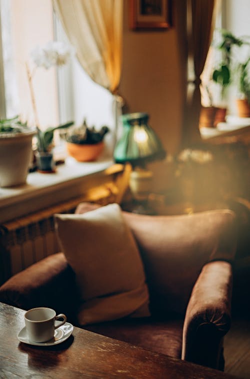 Armchair in Cozy Living Room