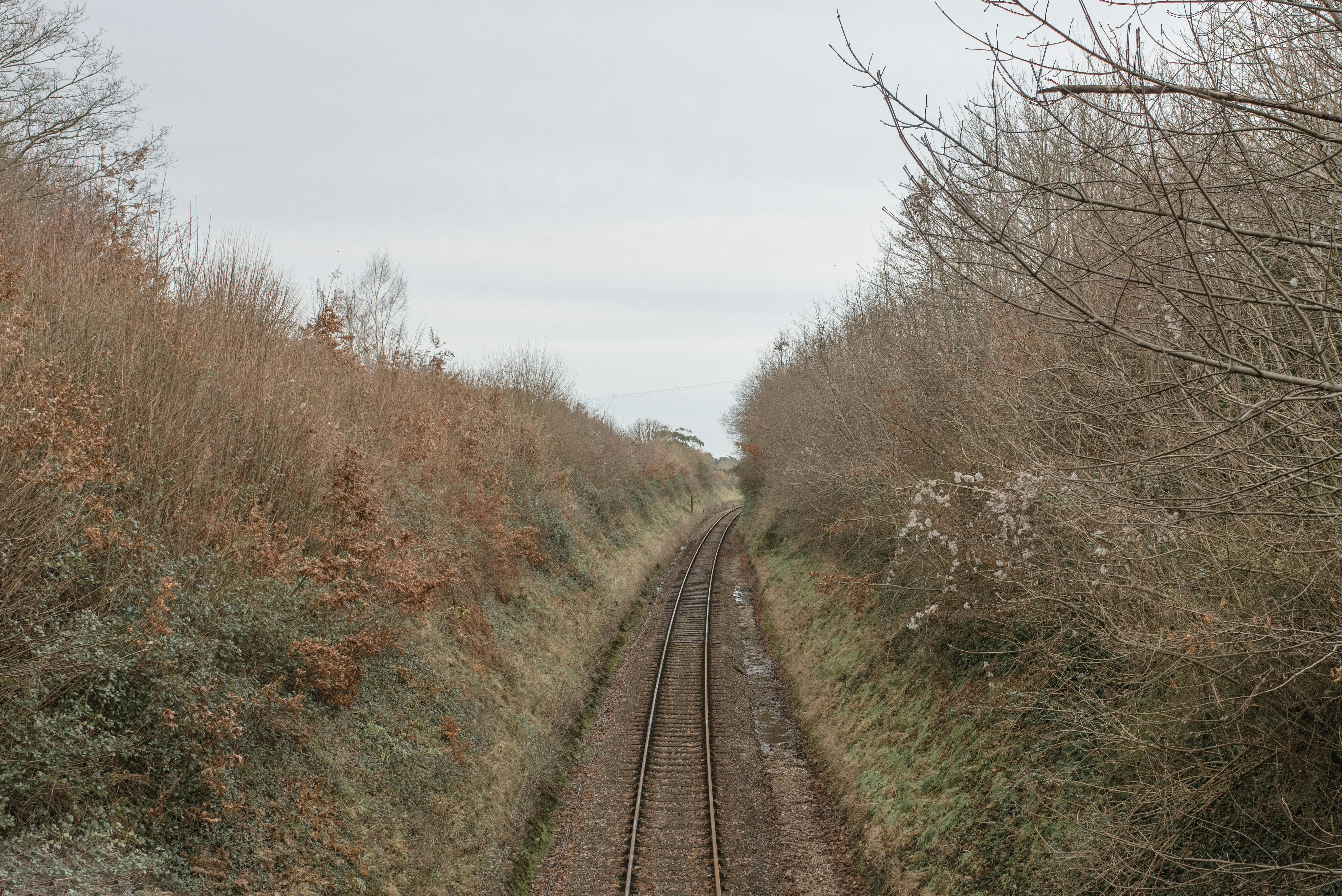 A tranquil railway track cuts through bare winter trees and grasslands.