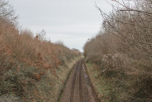 Free A tranquil railway track cuts through bare winter trees and grasslands. Stock Photo