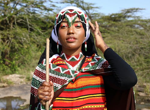 Základová fotografie zdarma na téma barevný, domorodci, elegantní