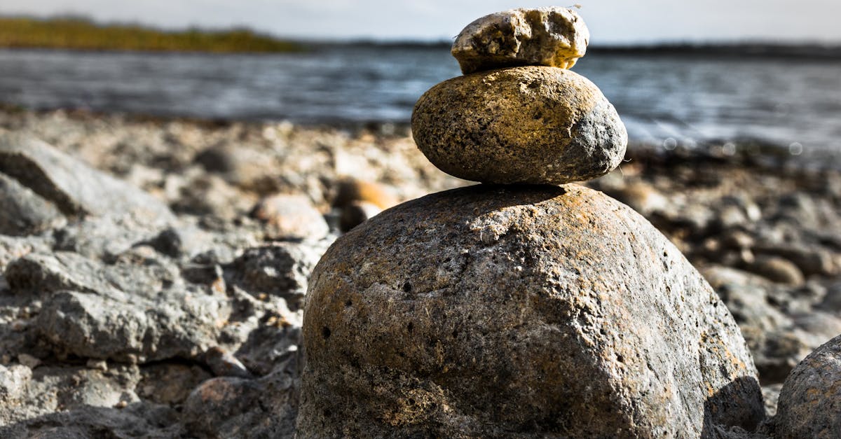 ✨走进日本最大禅寺的至宝展览!🧘♀️💖 ✨走进日本最大禅寺的至宝展览!🧘♀️💖