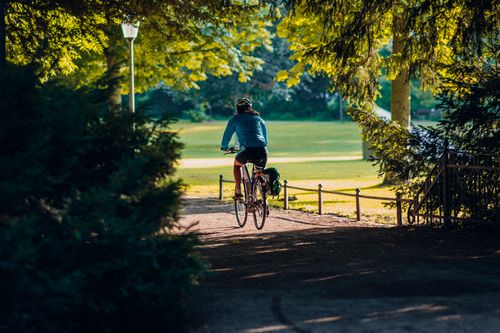 Free A cyclist enjoying a sunny day ride through a lush park in Wiesbaden, Germany. Stock Photo