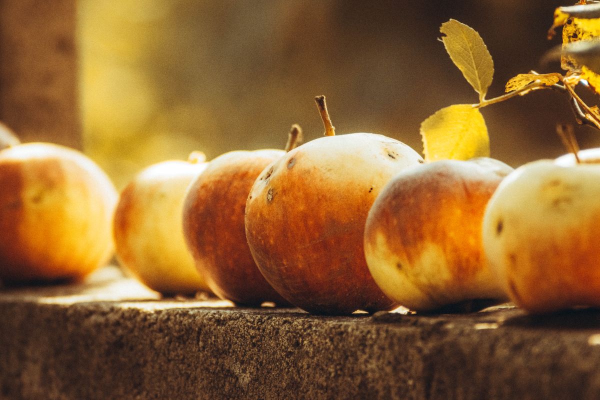 13 Apfel-Rezepte für Familien — Zubereitung Schritt für Schritt