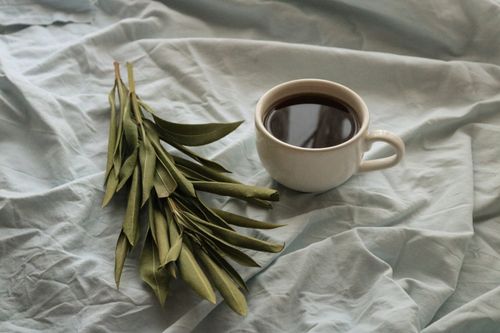 Free A simple still life of coffee and greenery on soft, crumpled fabric conveying a relaxed mood. Stock Photo