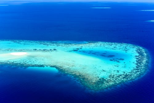 カリブ海, ビーチ, モルディブの無料の写真素材