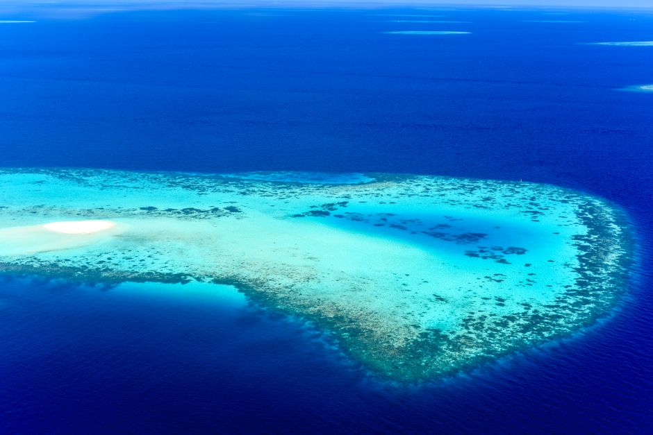 Excursion Îles Atolls Nord (Baa Reef)