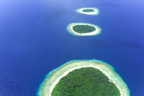 Green Round Islands on Blue Water