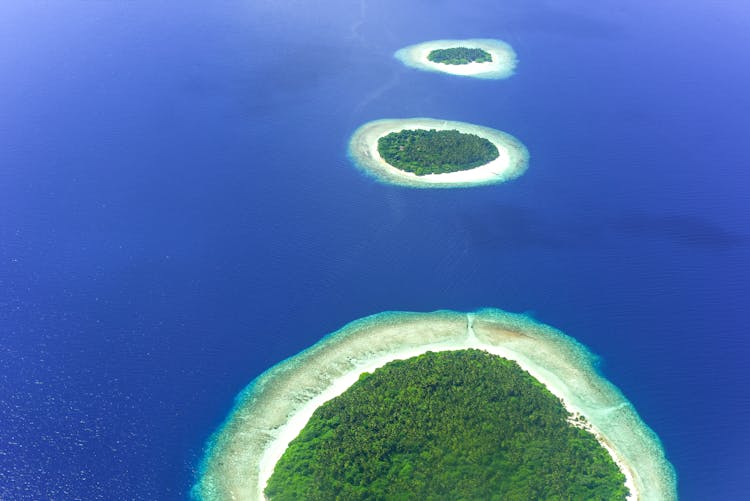 Green Round Islands On Blue Water