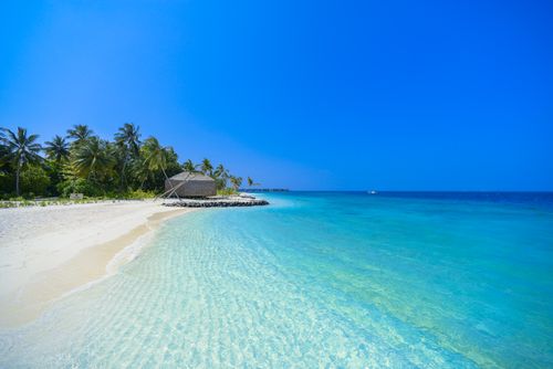 Free Crystal clear waters and palm trees on a tranquil Maldives beach. Stock Photo