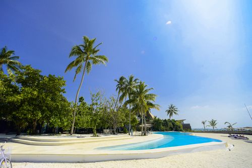 Free Scenic view of palm trees and swimming pool at a luxurious Maldives resort. Stock Photo