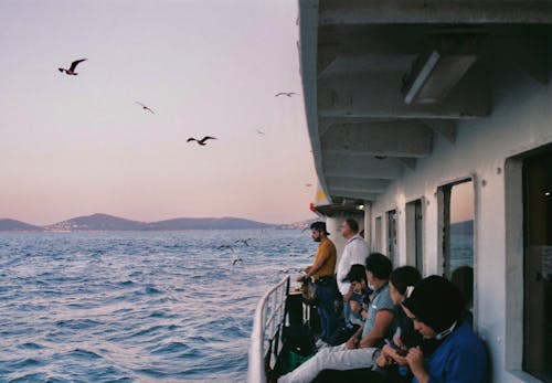 Darmowe zdjęcie z galerii z latające ptaki, ludzie, morze
