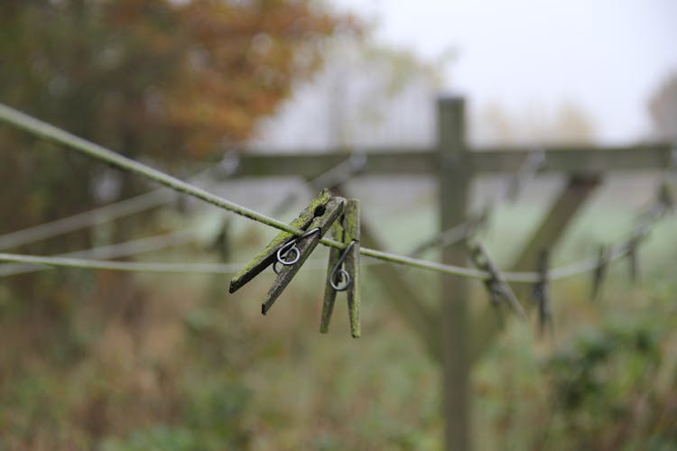 Clothespins On A Line 