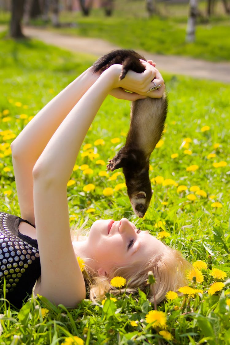 A Woman Holding A Ferret 