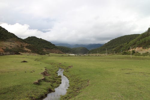 
A Field of Grass with Mountains in the Background