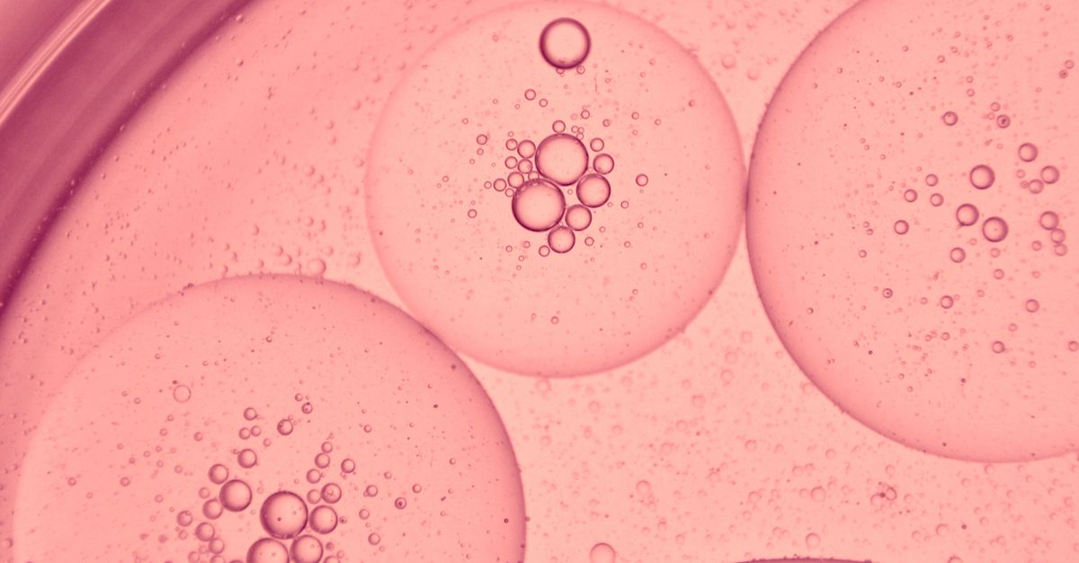 Stunning macro photo of pink oil bubbles in water, showcasing a microscopic view with intricate patterns. - Evidence evidence guide for camelina oil cholesterol meta-analysis