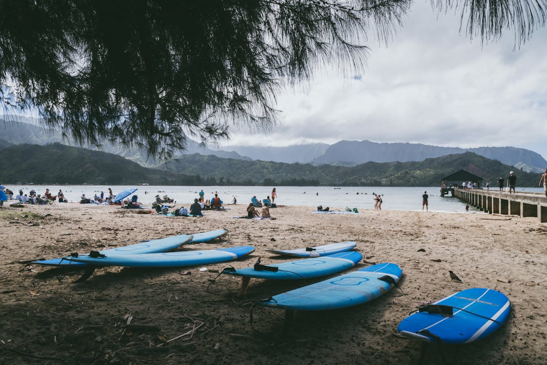 Free Blue Surfboards on Shore Stock Photo
