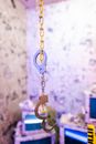 Gold and Blue Padlock on Brown Rope