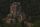 castles