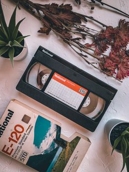 An artistic still life featuring a vintage VHS tape surrounded by dried flowers and green plants.