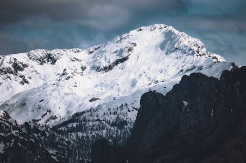 Foto d'estoc gratuïta de clima fred, cobert de neu, hivern