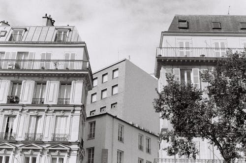 Imagine de stoc gratuită din alb-negru, arhitectural, clădiri de apartamente
