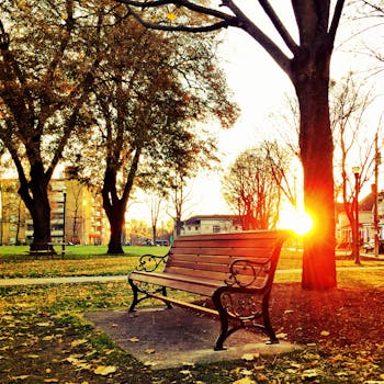 日落时分，五颜六色的秋树下，风景秀丽的公园长椅营造出温暖诱人的氛围