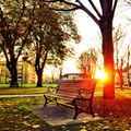 Photo by Robin McPherson on Pexels