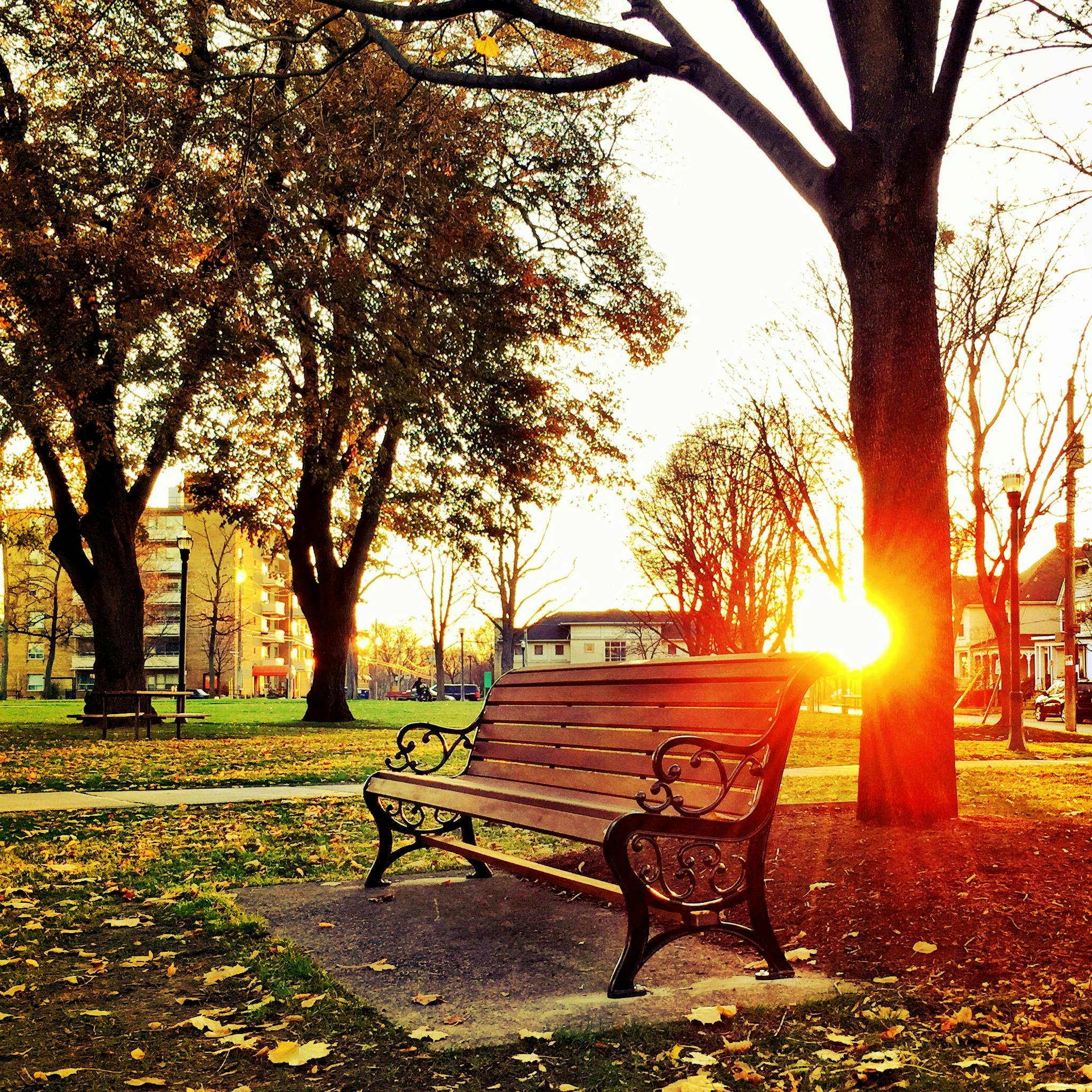 Park Bench Photos, Download The BEST Free Park Bench Stock Photos & HD  Images
