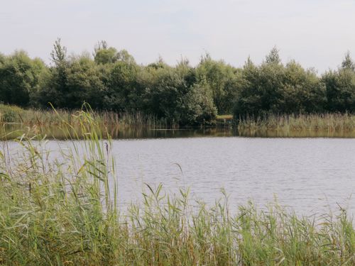 Free Peaceful lake surrounded by lush green forest, perfect for nature lovers. Stock Photo