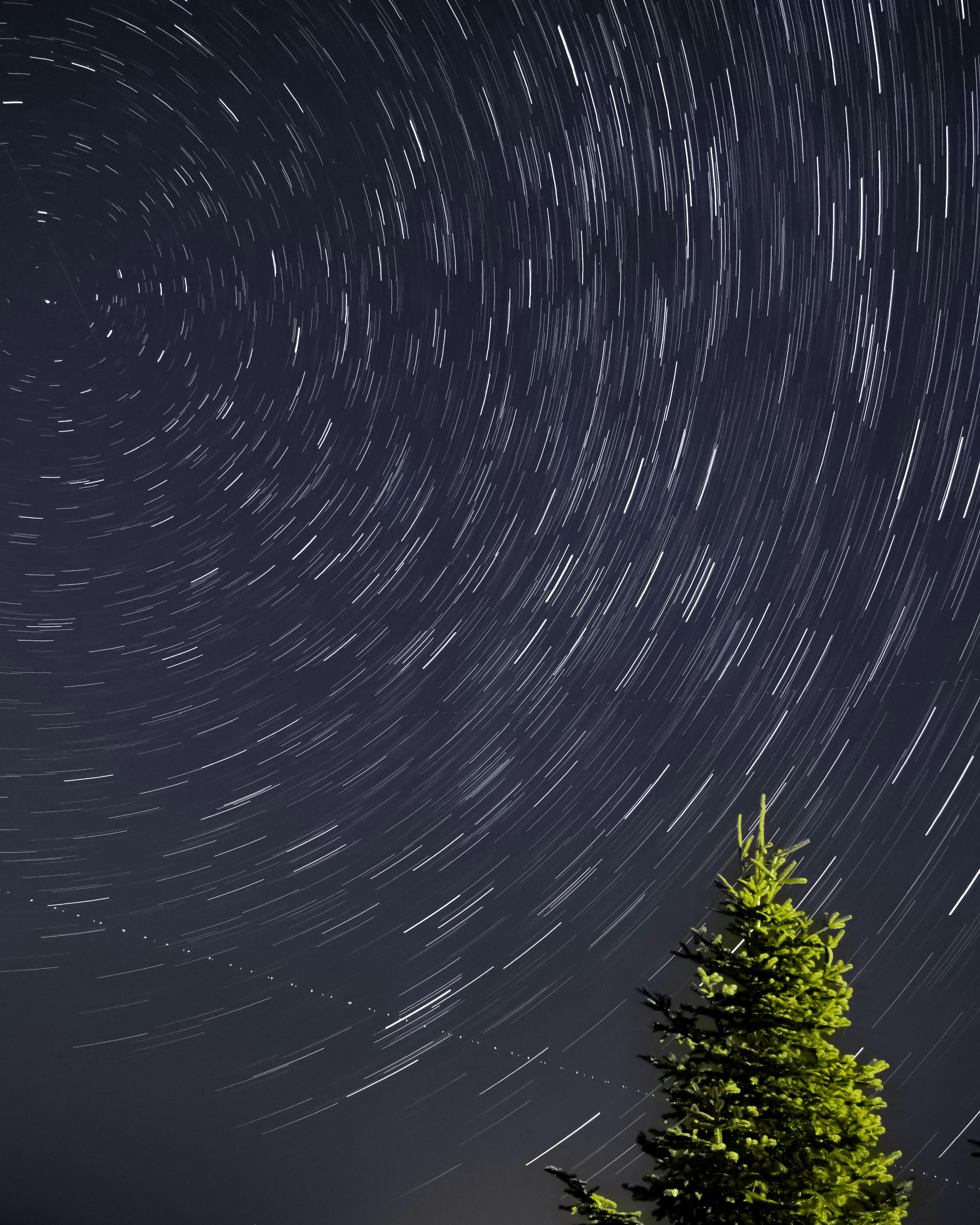 Captivating long exposure star trails swirling above a solitary pine tree at night.