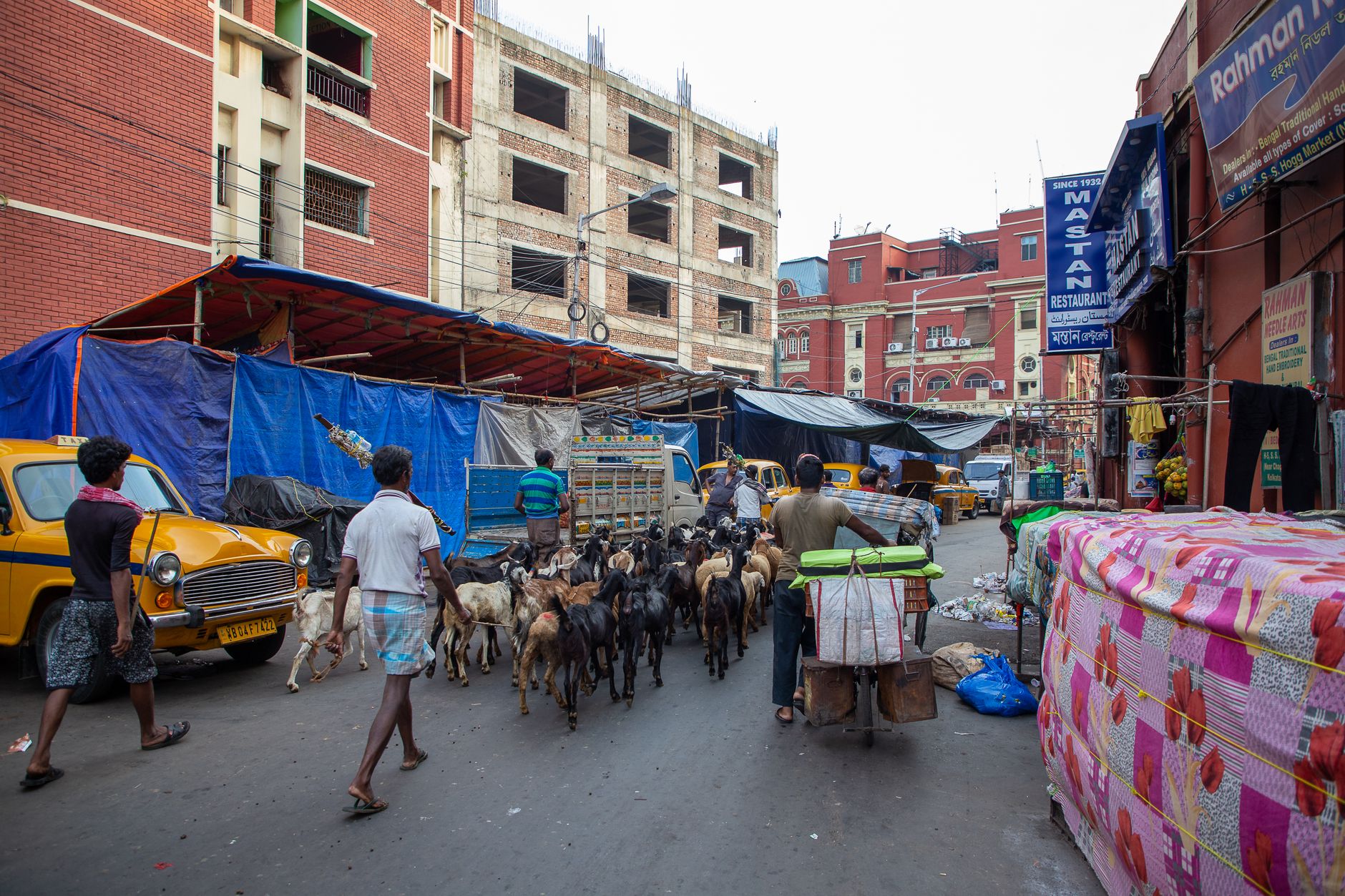 Cuttack travel and vehicle rental photo 1