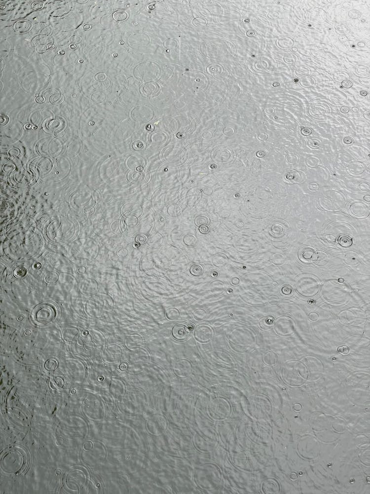 Raindrops On Puddle Of Water