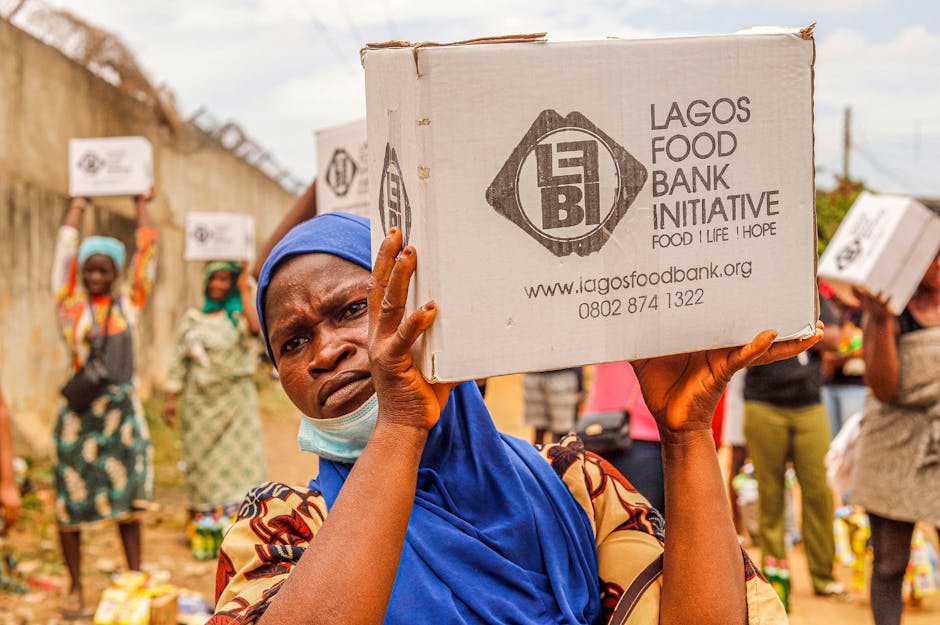 Governmental Response and Initiatives