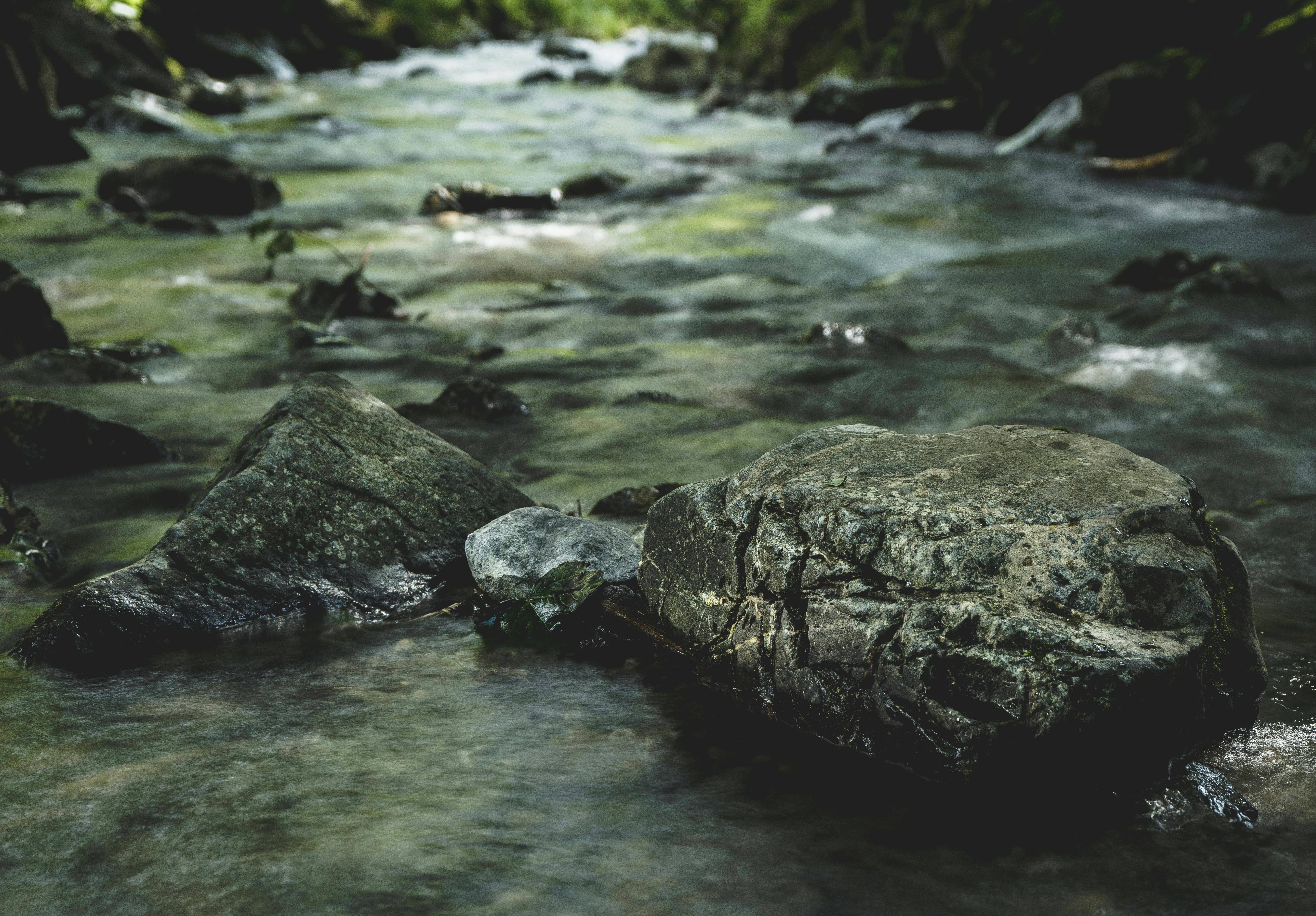 A tranquil stream flowing over smooth rocks in a lush, green forest setting.